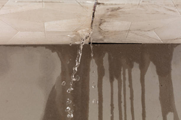 Professional Burst Pipe Cleanup technician working in Greenwich, CT